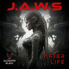 J.A.W.S - After Life (Original Mix)