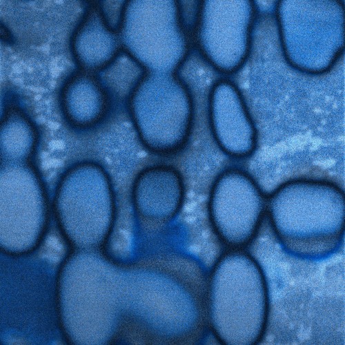 ELIXIR 01 | by OLITA