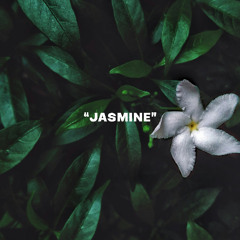 Beat with Hook "Jasmine"