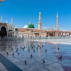 تشوقنا تشوقنا، ليلة المولد الشريف 1447. سيدنا الحسين - مصر المحروسة .m4a