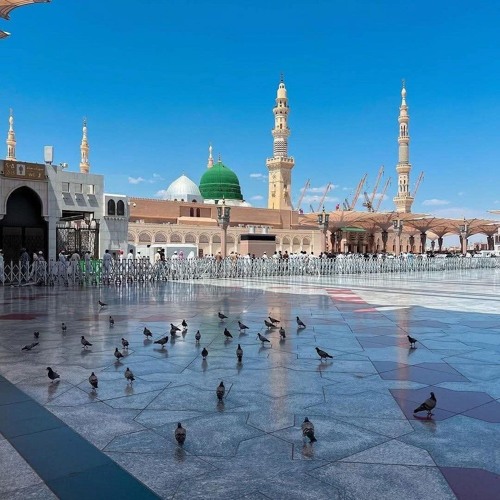 تشوقنا تشوقنا، ليلة المولد الشريف 1447. سيدنا الحسين - مصر المحروسة .m4a