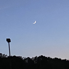 the fire is raging, join it