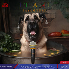 It Aşi
