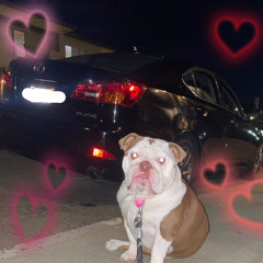 the250 (prod. Bodhi) - hella.jpg