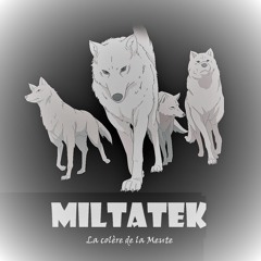 MILTATEK ✔ La Colère De La Meute [Forthcoming on Acid Night 47]