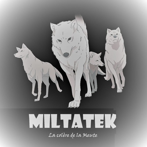 MILTATEK ✔ La Colère De La Meute [Forthcoming on Acid Night 47]