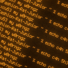 c4n 5h3 xcu53 my w0rngz