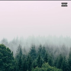 ceillys - otw prod inanisalone