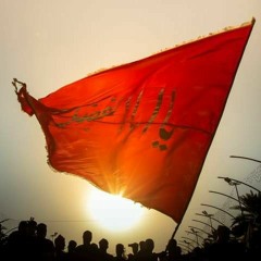 محمود قيم | قال مولانا أمير المؤمنين