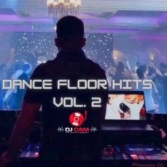 Dance Floor Hits Vol. 2 - Bhangra Mashup 2024 - DJ Cam