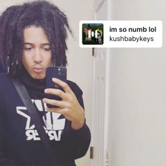 kushbabykeys - payroll (ft Yuke)