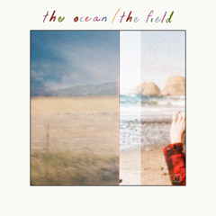 the ocean