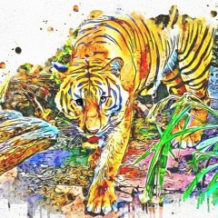 VaCH vs Tiger