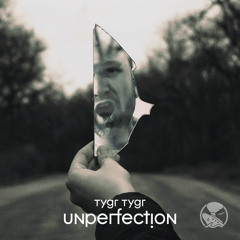 Unperfection (Cosmokat Remix)