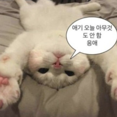갈래말래 애매하긴해 (Rouis in the mix Vol.2)
