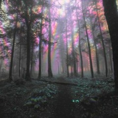 Mystical Forest