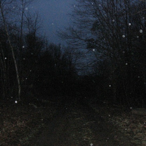 cat soup - old cell key (unreleased) [2019]