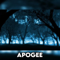 Skyfall Beats - Apogee (Slowed)