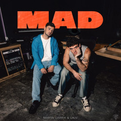 Martin Garrix, Lauv - Mad (DEN Remix)
