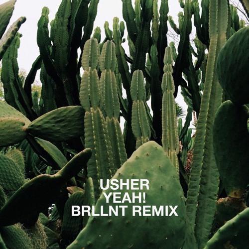 usher - yeah! (brllnt remix)
