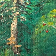 Washing Machine Heart - Mitski I violin cover + orchestra