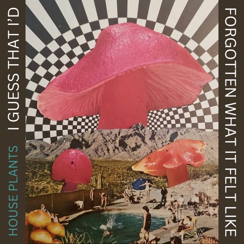 Grotesqualizer