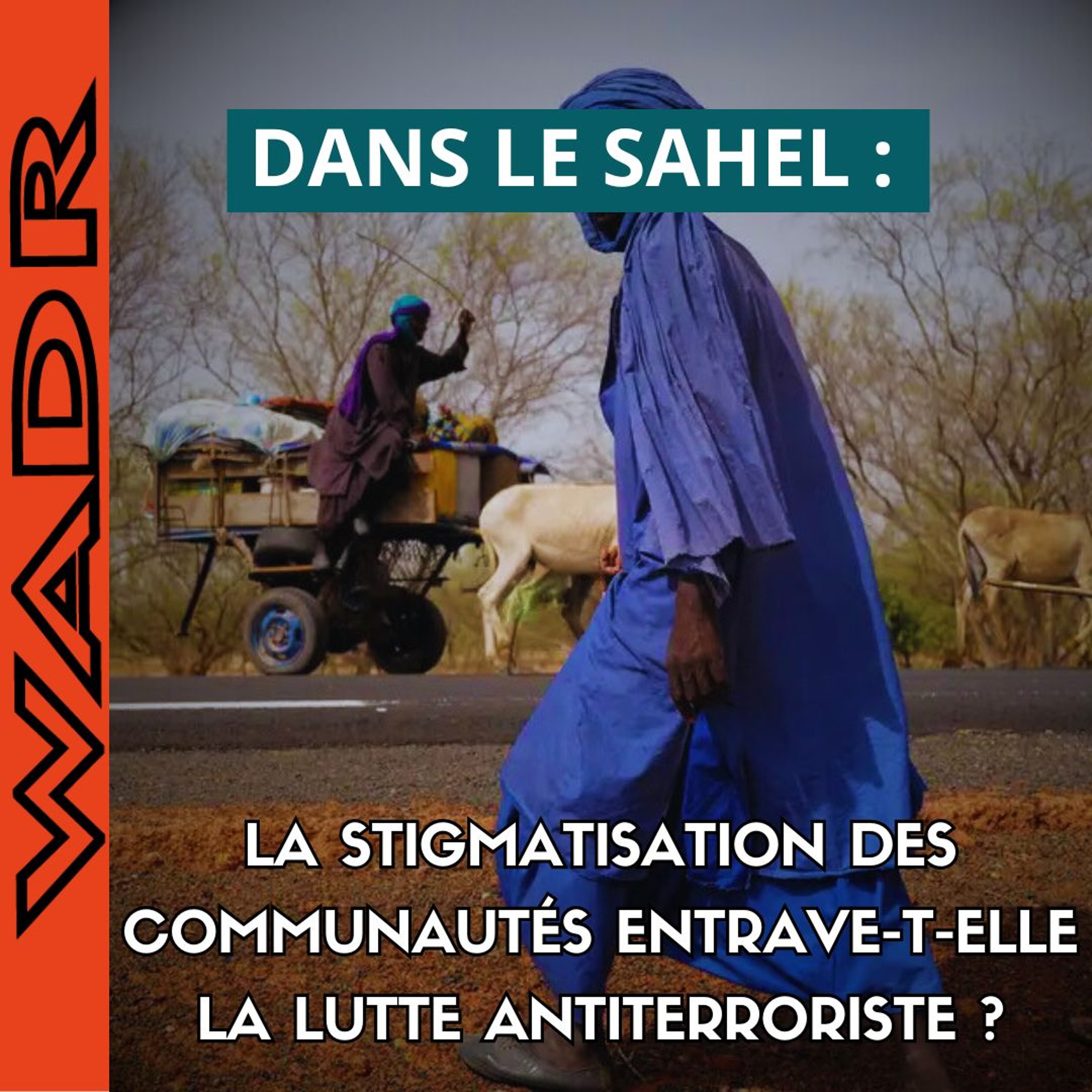 La stigmatisation des communautés au Sahel entrave-t-elle la lutte antiterroriste ? - DANS LE SAHEL episode artwork