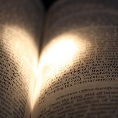 That Love That's Deeply Rooted