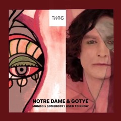 Notre Dame & Gotye - Mundo x Somebody I Used To Know (TWINS Edit)