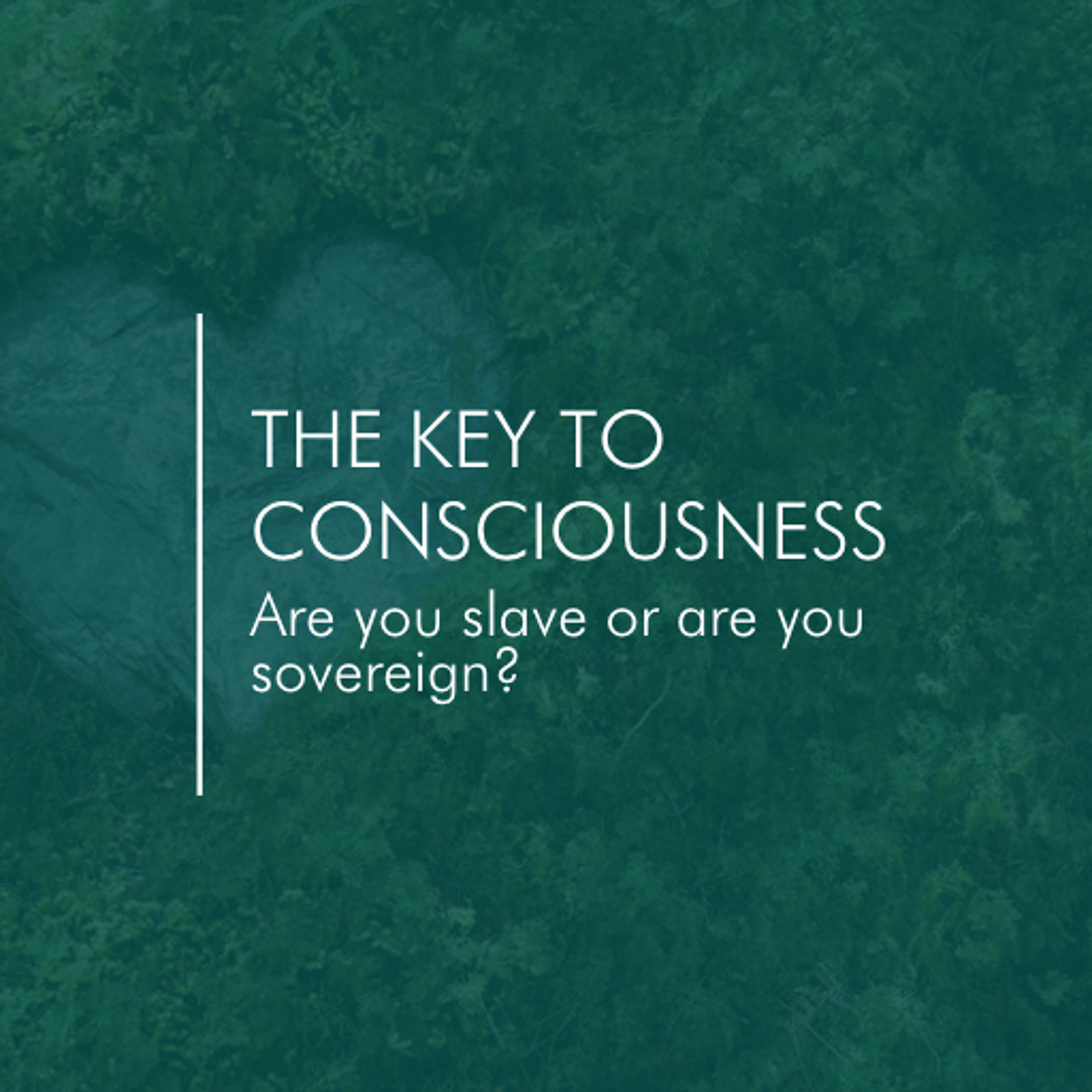 Accessible Astrology with Psychotherapist + Astrologer Eugenia Krok, MA