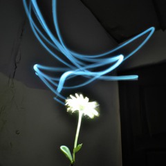 All my Songs on Soundcloud