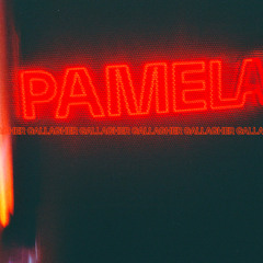PAMELA