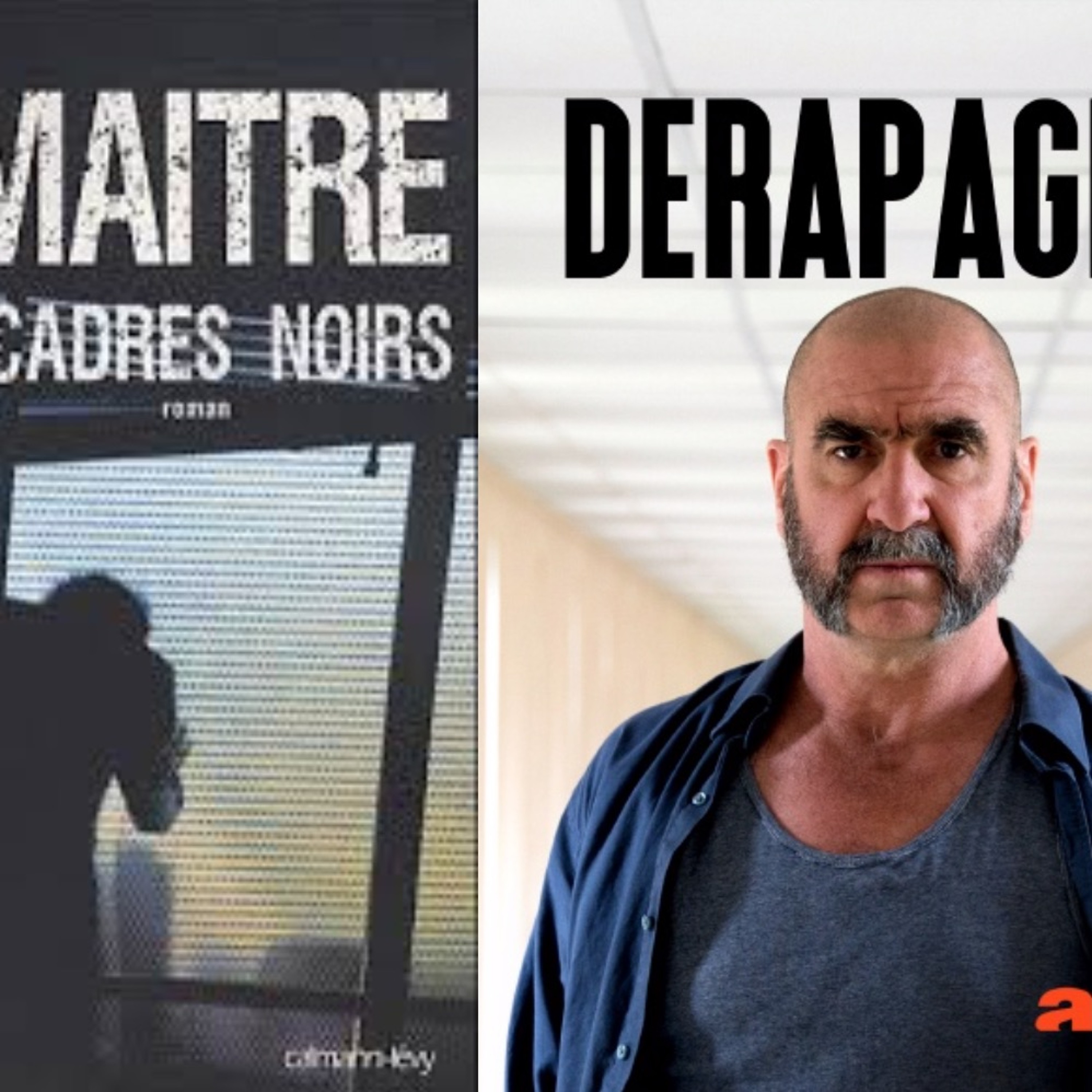 Cinerature