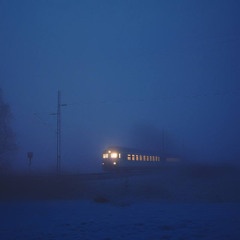 Our Last Winter