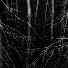 Prophecies and curses