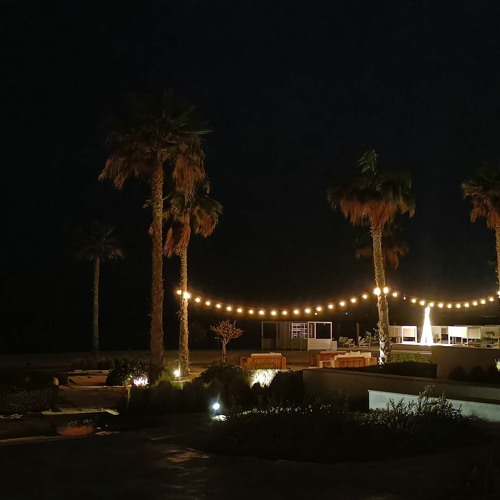 Stream John Rose Crushed Grapes by Saif.ak7 Listen online for free