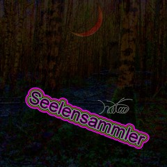 Seelensammler