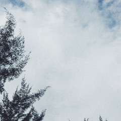 Novo Amor - Carry You (One Take - Cover)