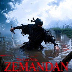 The Last Ninja