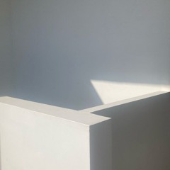 early bird dreams on