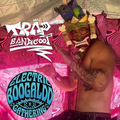 Live @Electric Boogaloo Gathering - Trap Bandicoot