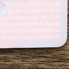 Que Paso NEW (Guitars)