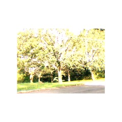 leaf fall