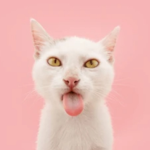 Pretending to Not be a Human
