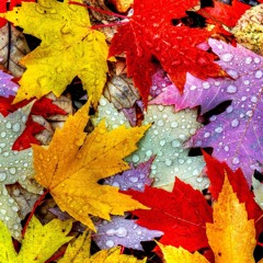 september - My Edition