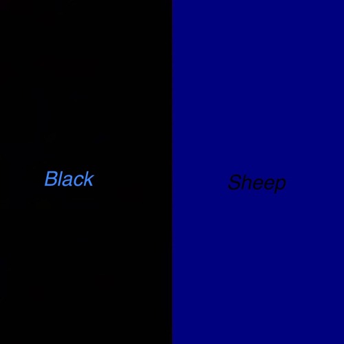 Black Sheep