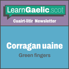 Corragan uaine | Green fingers