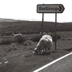 Don't Come Knocking my Door