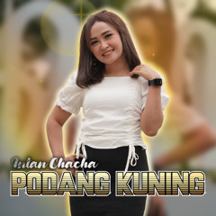 Podang Kuning