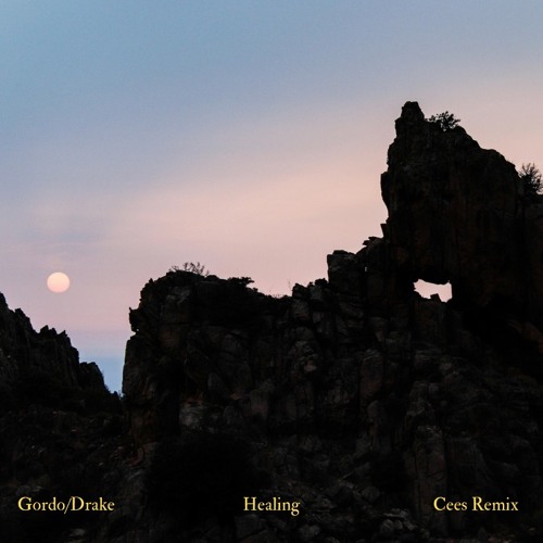 Gordo x Drake - Healing (Cees Remix)